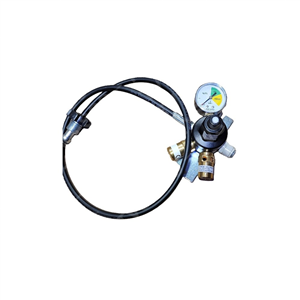 Regulator, wall mounted mixed gas primary